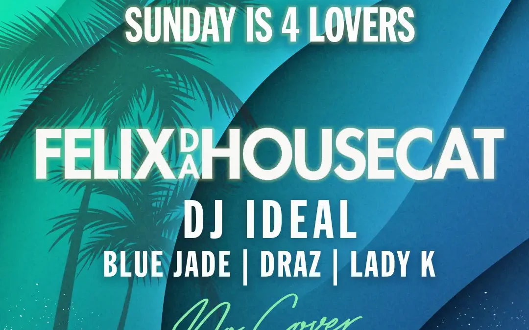 Felix Da Housecat – MUSIC IS 4 LOVERS (No Cover!)