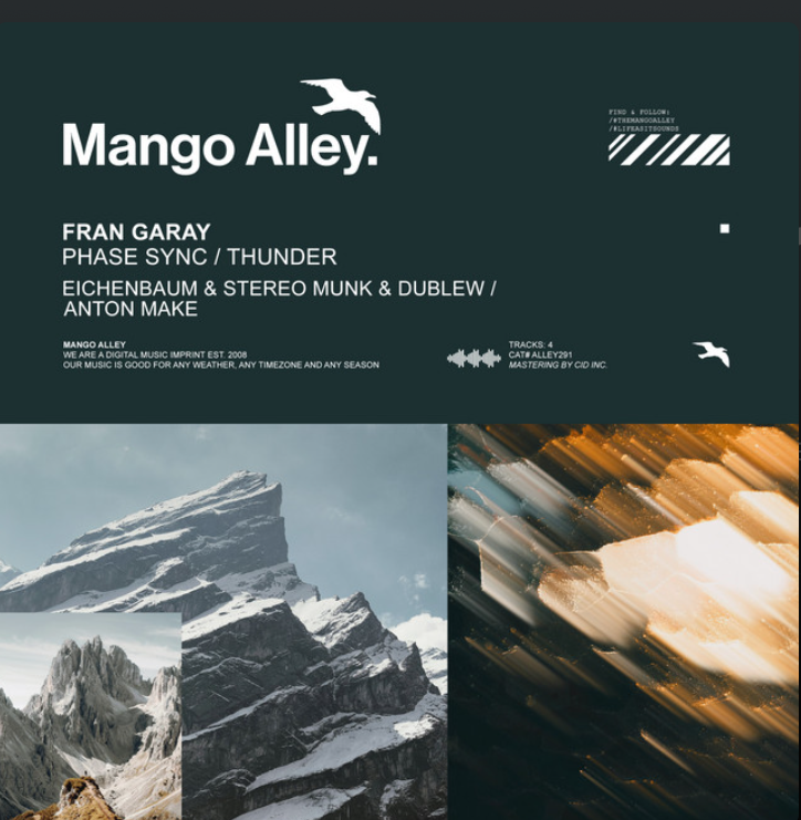Fran Garay - Phase Sync